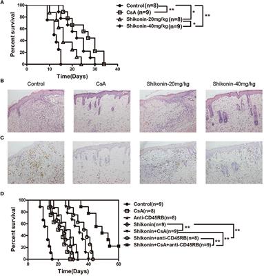 Shikonin Prolongs Allograft Survival via Induction of CD4+FoxP3+ Regulatory T Cells